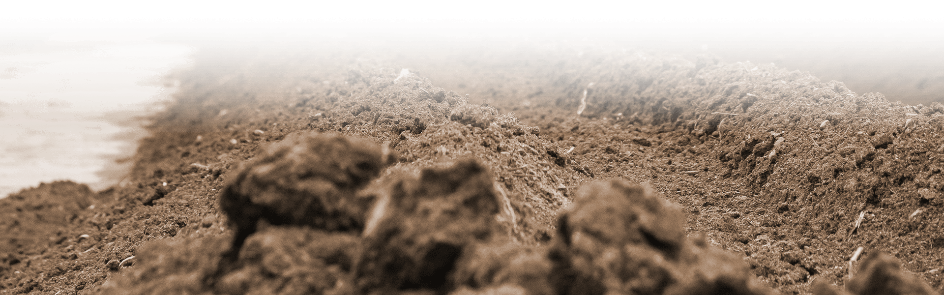 Banner Background