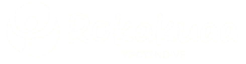 Logo Icon